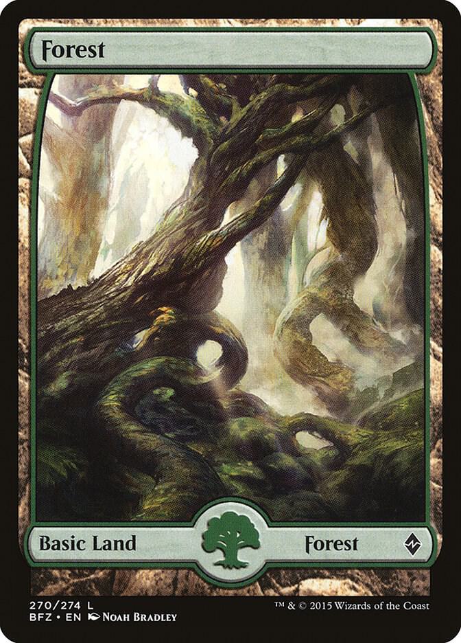 Forest - Full Art 270 card from Battle for Zendikar