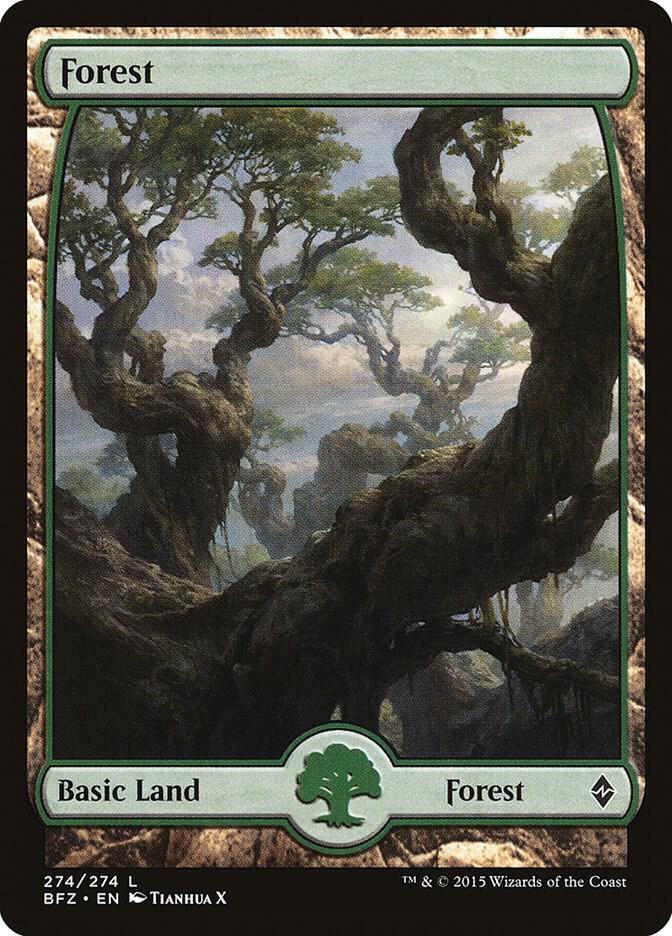 Forest - Full Art 274 card from Battle for Zendikar