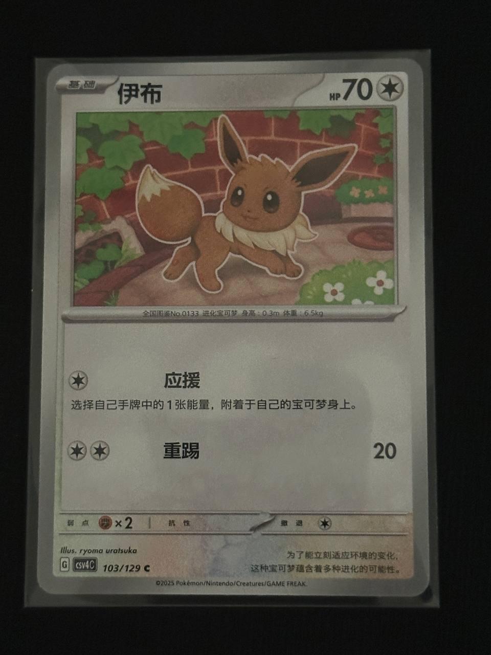 Eevee #103 card from CSV4C