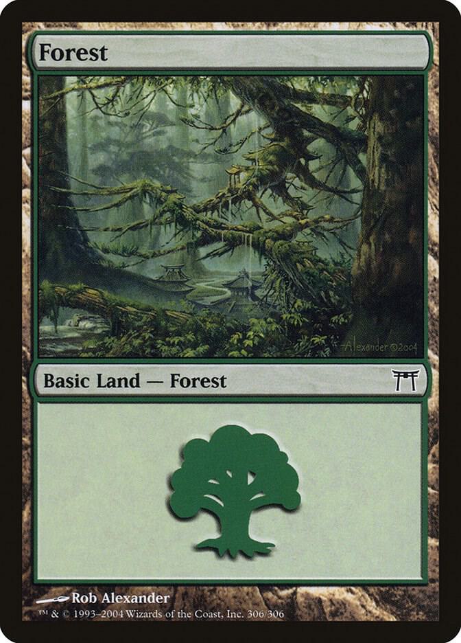 Forest 306 card from Champions of Kamigawa