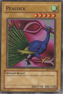 Peacock SRL-011 card from Spell Ruler