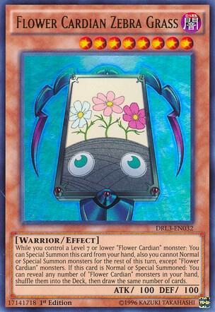 Flower Cardian Zebra Grass DRL3-EN032 card from Dragons of Legend: Unleashed