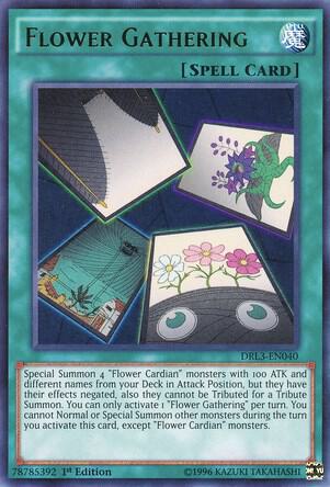 Flower Gathering DRL3-EN040 card from Dragons of Legend: Unleashed