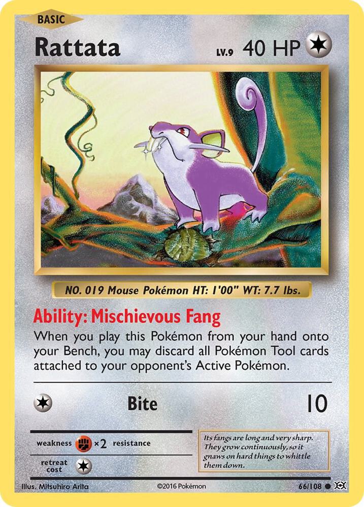 Rattata 66/108 card from XY - Evolutions