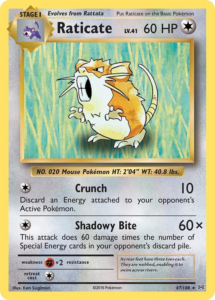 Raticate 67/108 card from XY - Evolutions