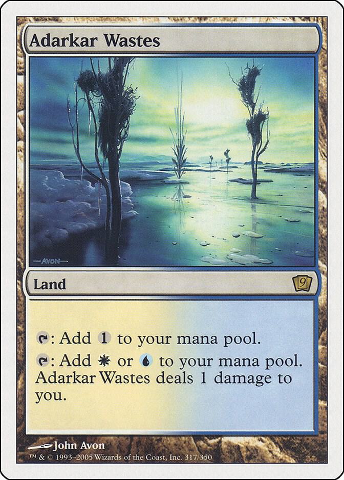 Adarkar Wastes 317 card from 9th Edition