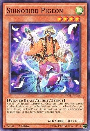 Shinobird Pigeon RATE-EN024 card from Raging Tempest
