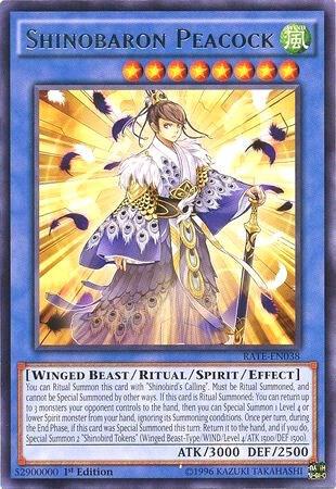 Shinobaron Peacock RATE-EN038 card from Raging Tempest