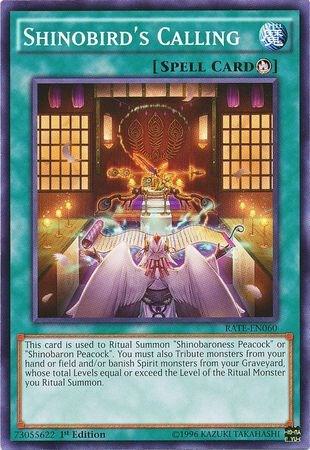 Shinobird's Calling RATE-EN060 card from Raging Tempest