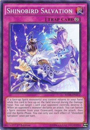 Shinobird Salvation RATE-EN072 card from Raging Tempest