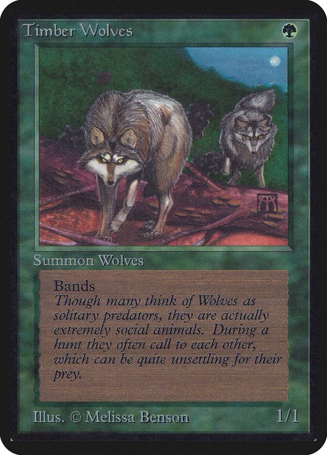 Timber Wolves card from Alpha Edition
