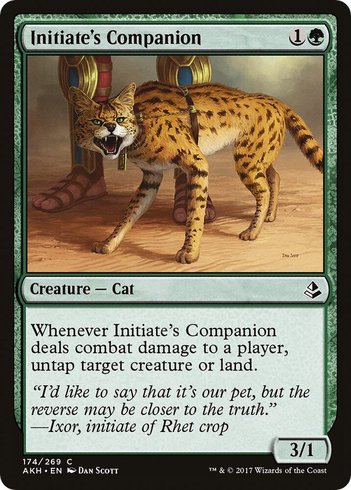 Initiate's Companion 174 card from Amonkhet