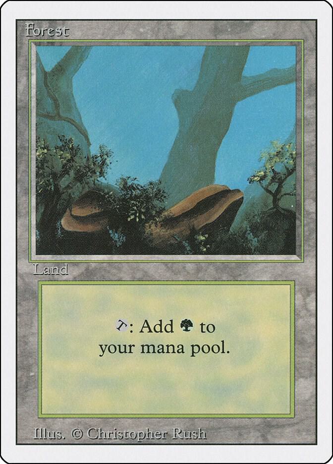 Forest (A) 284 card from Revised Edition