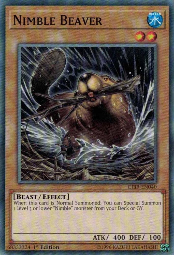 Nimble Beaver CIBR-EN040 card from Circuit Break
