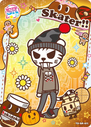 Skater TD-SR-011 card from Roaming Edition Series 1