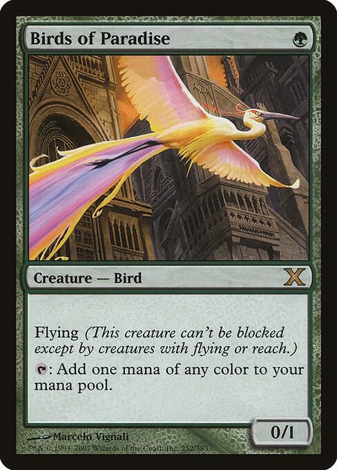 Birds of Paradise 252 card from 10th Edition