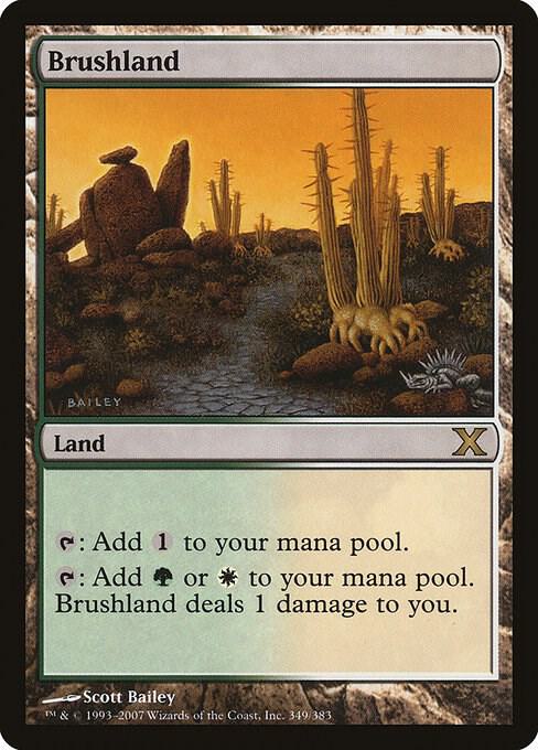 Brushland 349 card from 10th Edition
