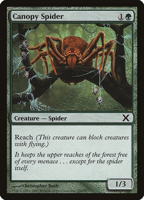 Canopy Spider 254 card from 10th Edition