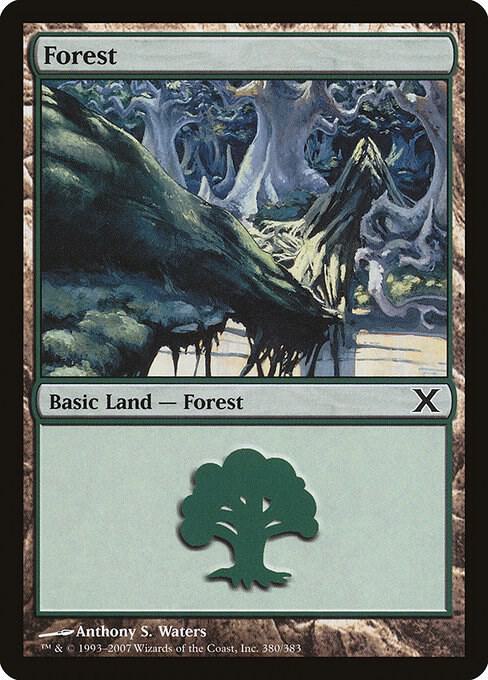 Forest 380 card from 10th Edition
