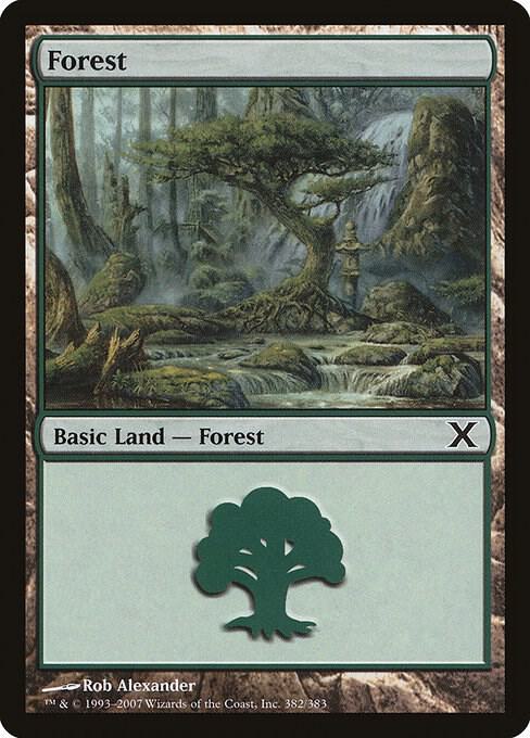 Forest 382 card from 10th Edition