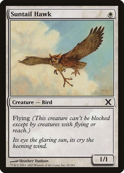 Suntail Hawk 50 card from 10th Edition