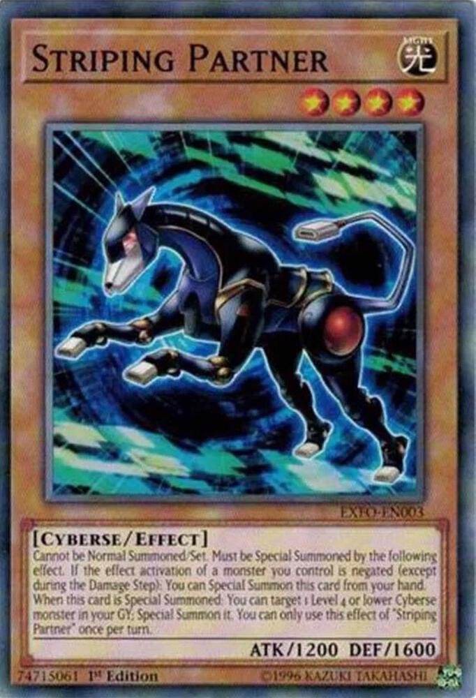 Striping Partner EXFO-EN003 card from Extreme Force