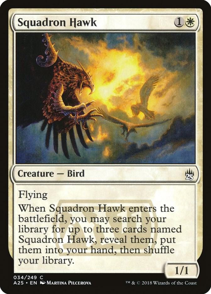 Squadron Hawk 34 card from Masters 25
