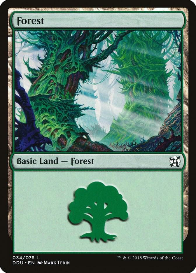 Forest 34 card from Duel Decks: Elves vs. Inventors