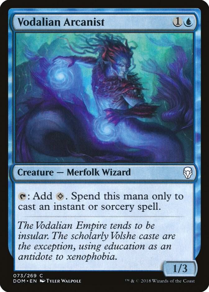 Vodalian Arcanist 73 card from Dominaria