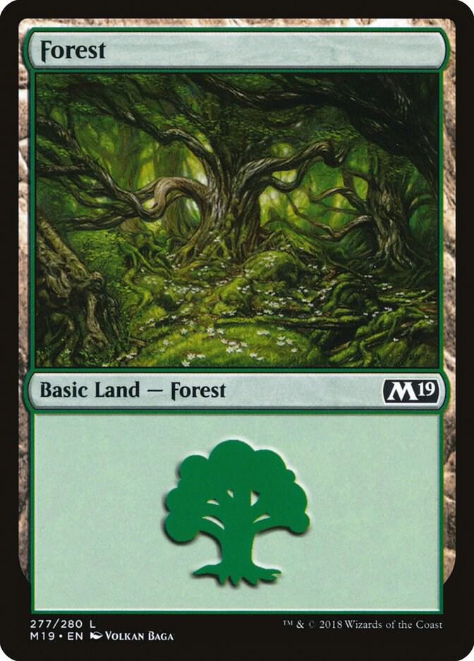 Forest 277 card from Core Set 2019