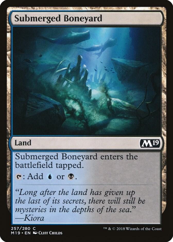 Submerged Boneyard 257 card from Core Set 2019