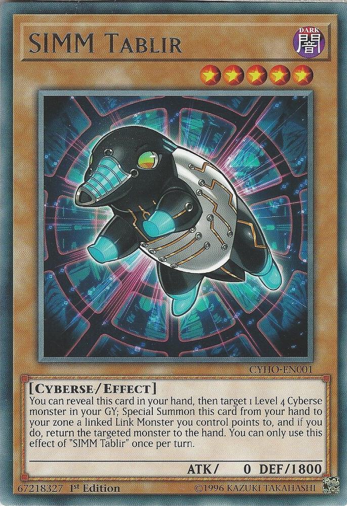 SIMM Tablir CYHO-EN001 card from Cybernetic Horizon