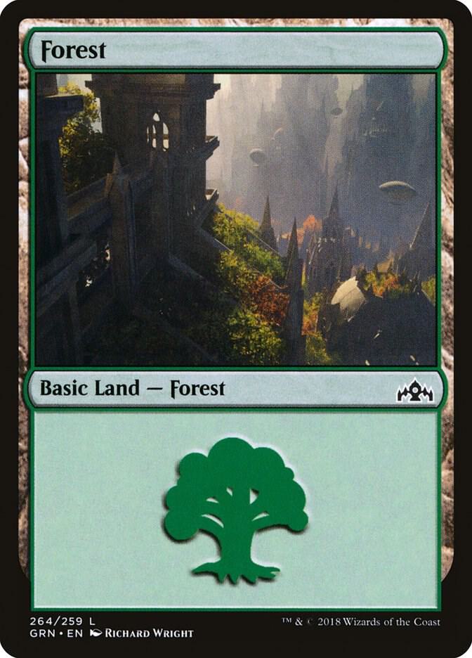 Forest 264 card from Guilds of Ravnica