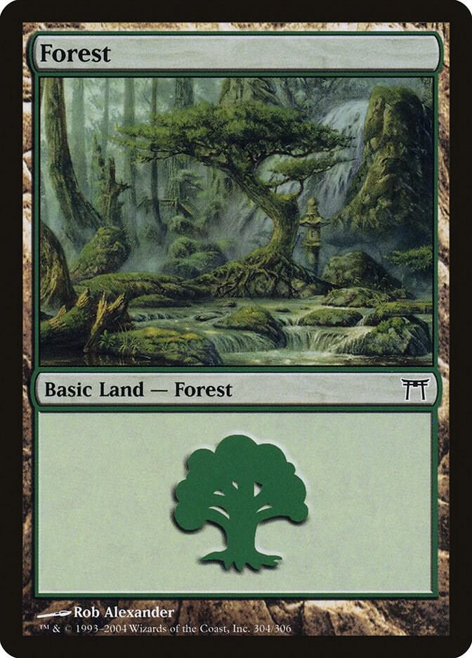 Forest 304 card from Champions of Kamigawa