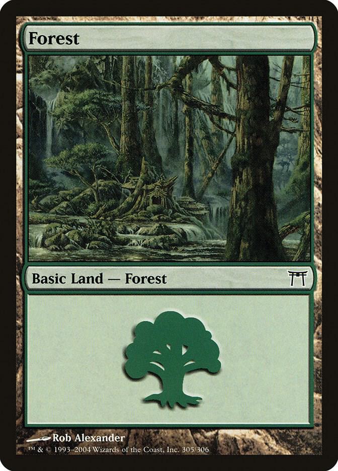 Forest 305 card from Champions of Kamigawa