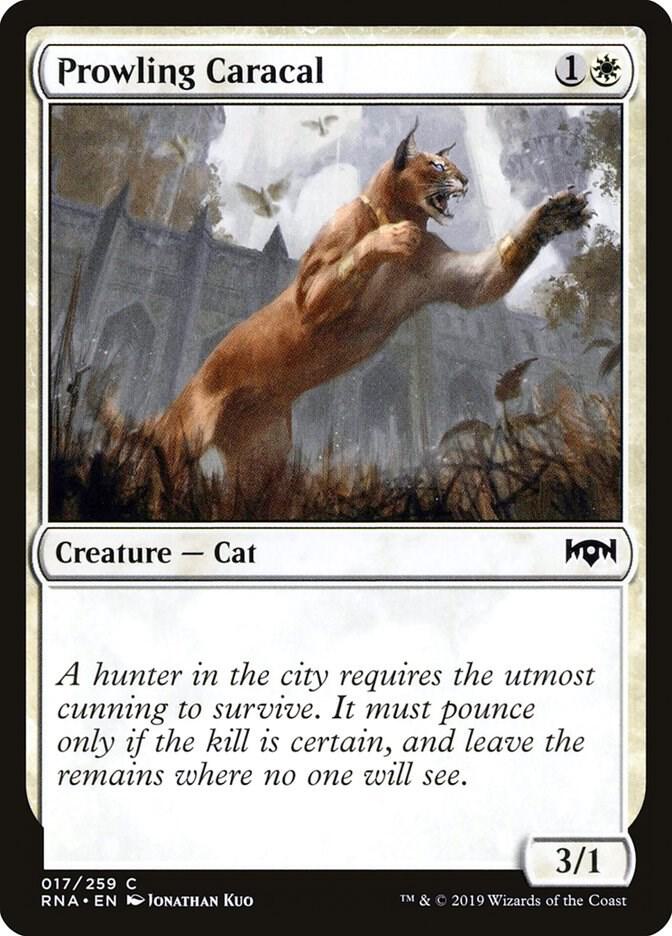 Prowling Caracal 17 card from Ravnica Allegiance