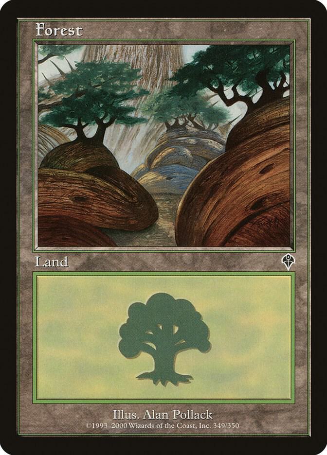 Forest 349 card from Invasion