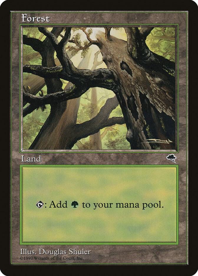 Forest (Skyward) 347 card from Tempest