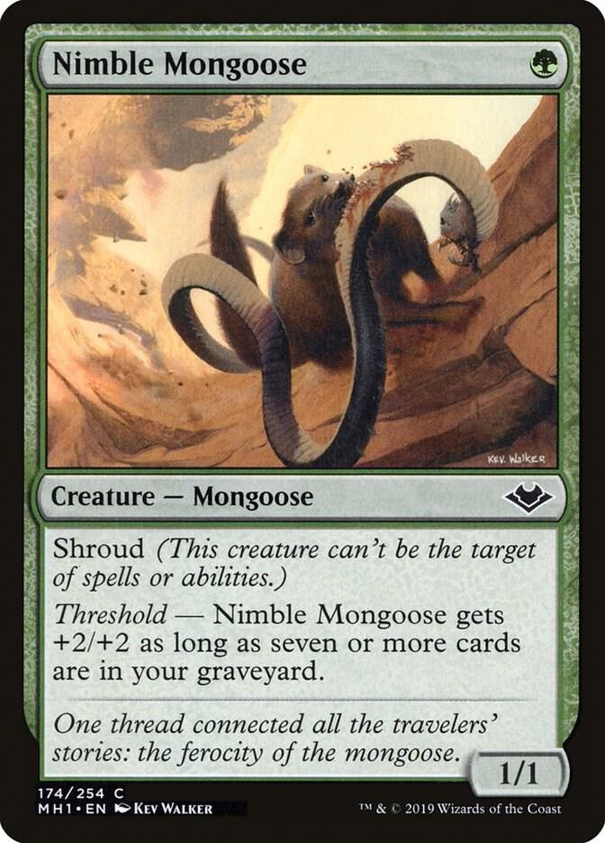 Nimble Mongoose 174 card from Modern Horizons