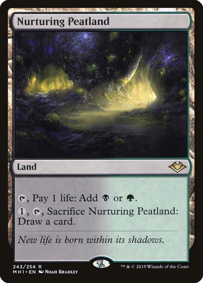 Nurturing Peatland 243 card from Modern Horizons