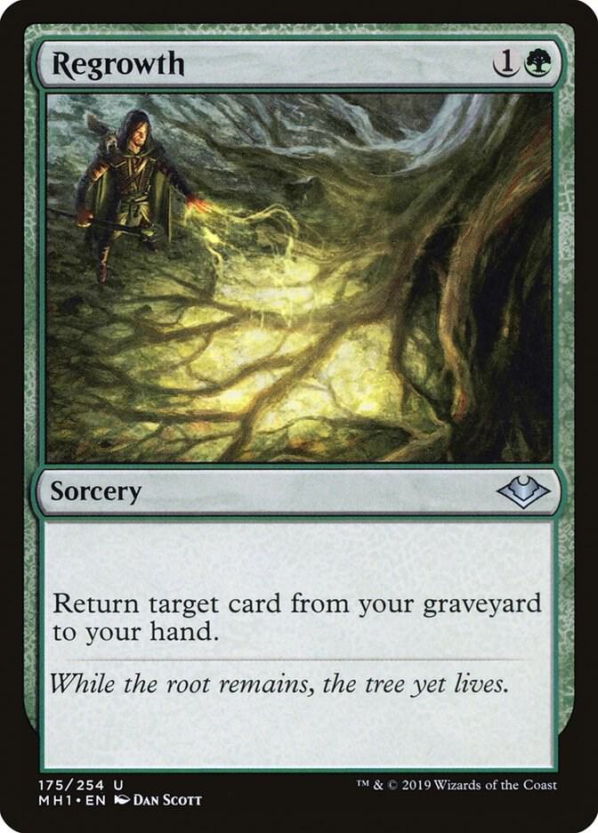 Regrowth 175 card from Modern Horizons