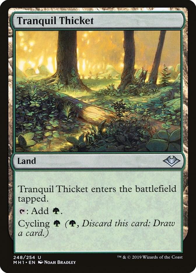 Tranquil Thicket 248 card from Modern Horizons