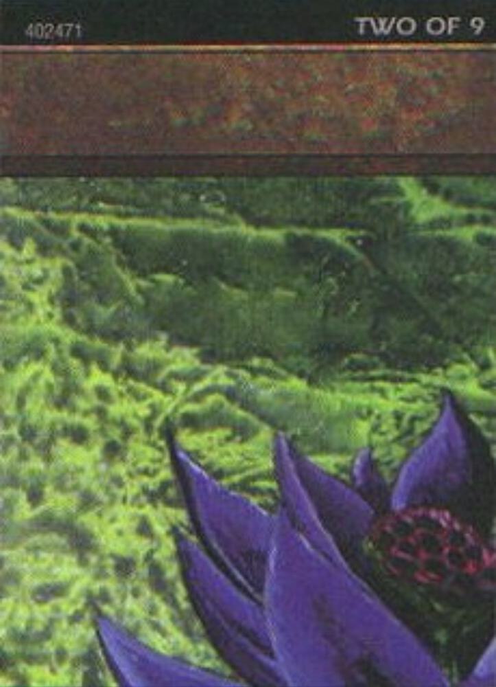 Black Lotus (2 of 9) (Ultra Pro Puzzle Quest) 1 card from Media Promos