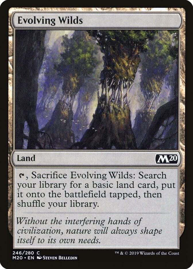 Evolving Wilds 246 card from Core Set 2020