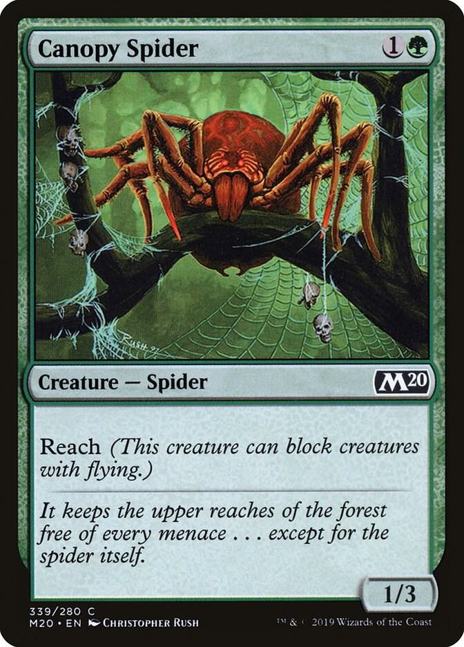 Canopy Spider 339 card from Core Set 2020