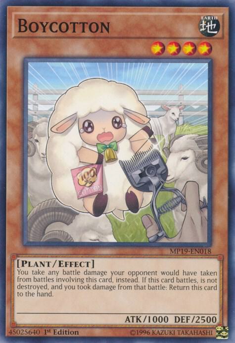 Boycotton MP19-EN018 card from 2019 Gold Sarcophagus Tin Mega Pack