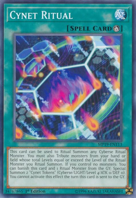 Cynet Ritual MP19-EN113 card from 2019 Gold Sarcophagus Tin Mega Pack