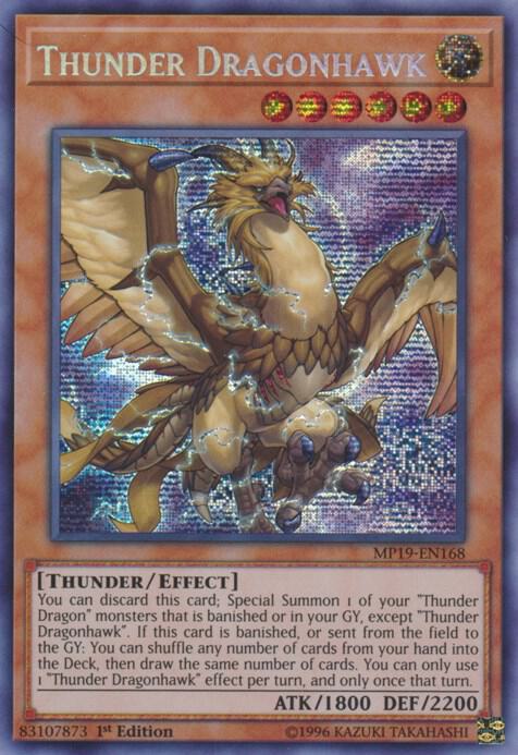 Thunder Dragonhawk MP19-EN168 card from 2019 Gold Sarcophagus Tin Mega Pack