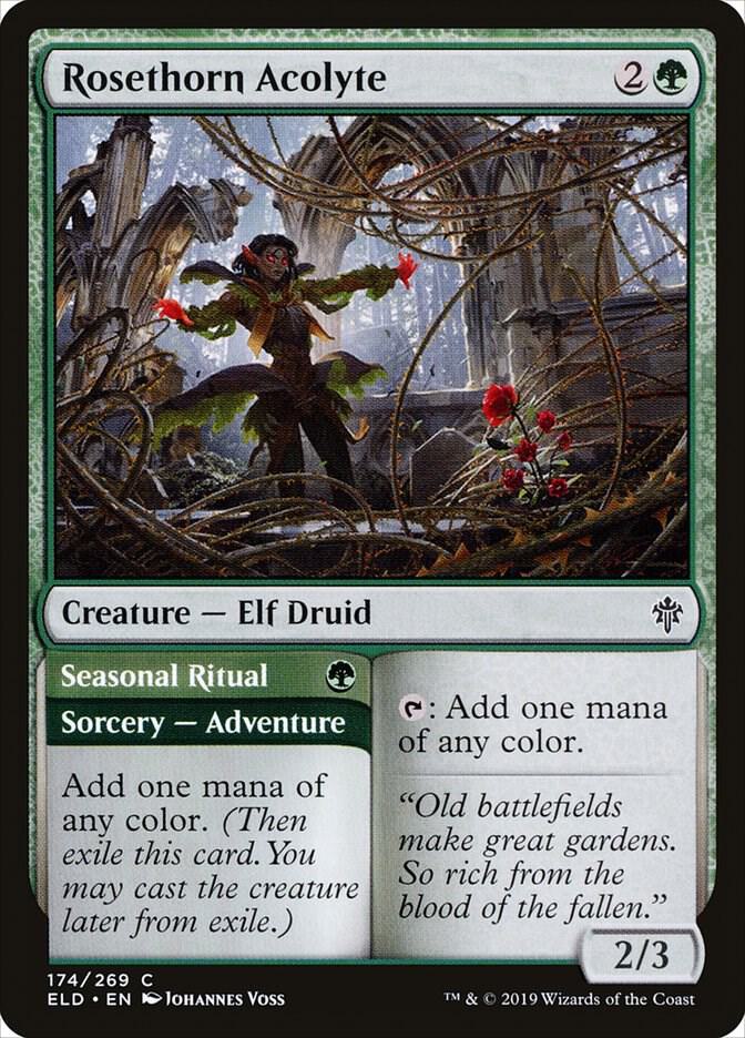 Rosethorn Acolyte 174 card from Throne of Eldraine