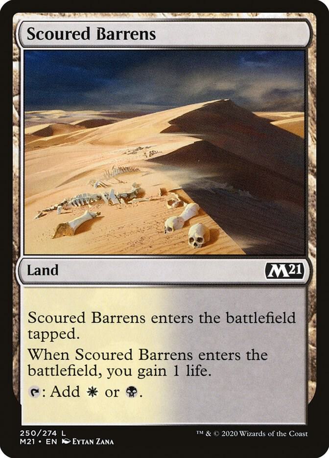 Scoured Barrens 250 card from Core Set 2021
